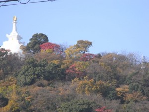 春日地区から花岡山を見上げる。一部を切り取るとこうなります。