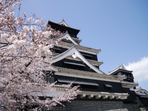 熊本城です