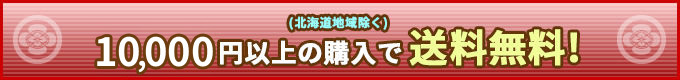 いきなり団子6,480円以上　送料無料